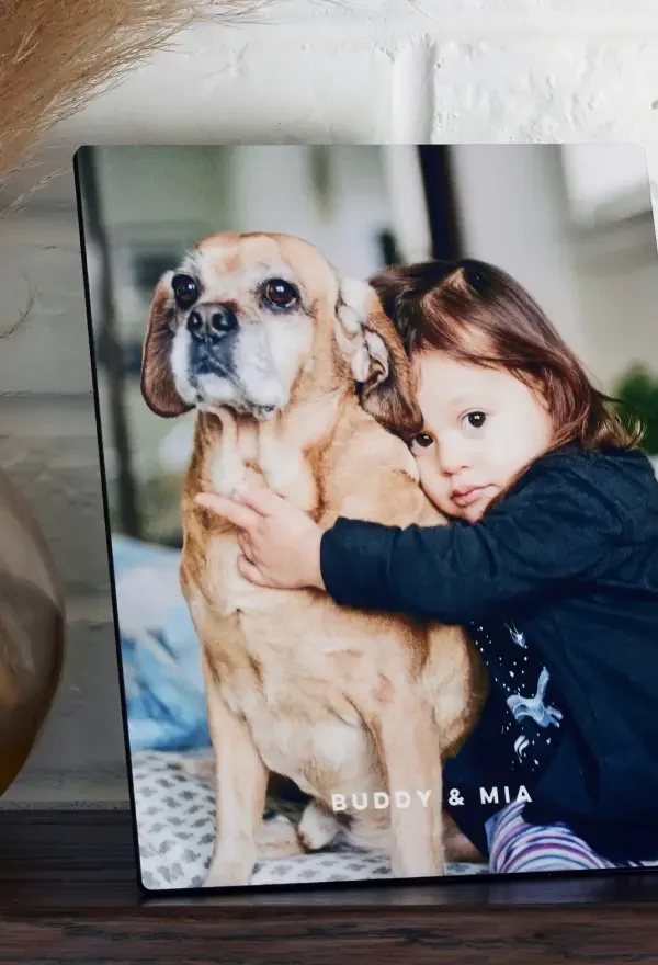 WF1141500_TT_Prints_Marquee_760x440_1 test test test test